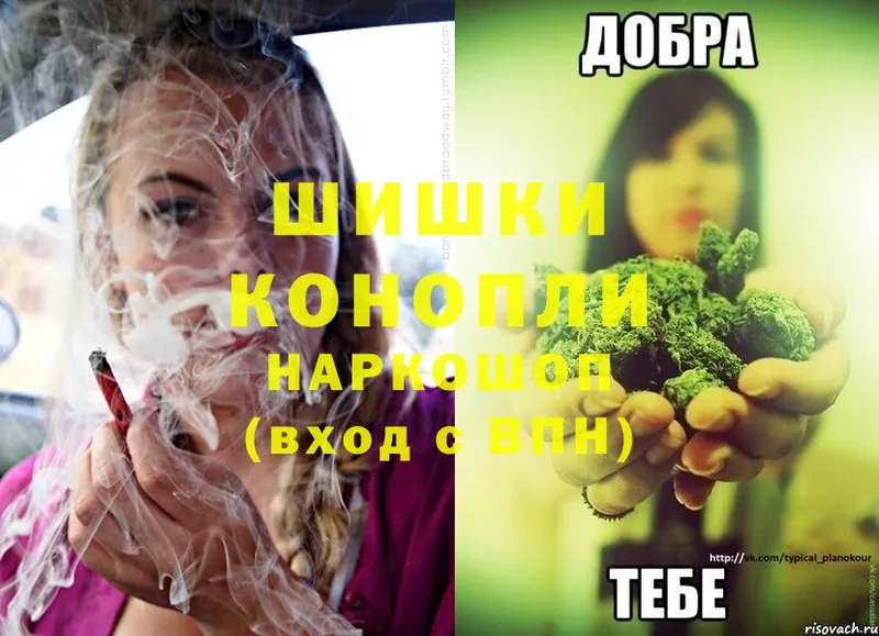 Бошки Шишки THC 21%  сколько стоит  Гусев 